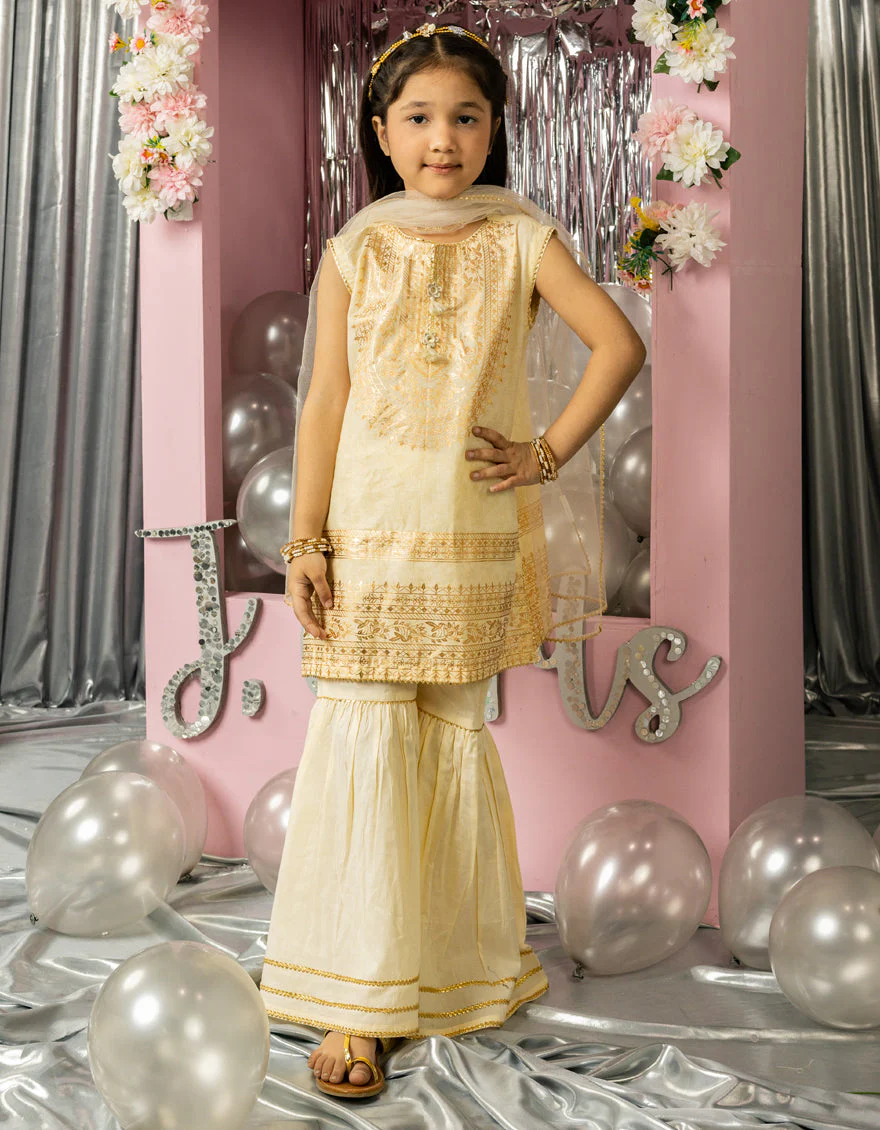 BROWN LAWN 3PC STITCHED | JGK-S-JGP-25-1555 FB/FASTIVE FOIL-01